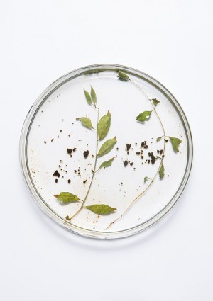 地域に受け継がれてきた営みから、次の価値をどう生み出すか ― 暮らし・文化・産業を、未来につなぐ ―